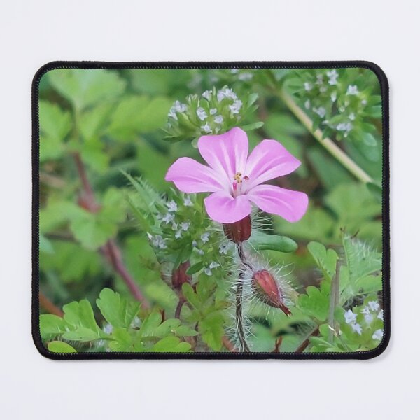 Item preview, Pretty pink lonely flower  designed and sold by LifeLookingCloser.