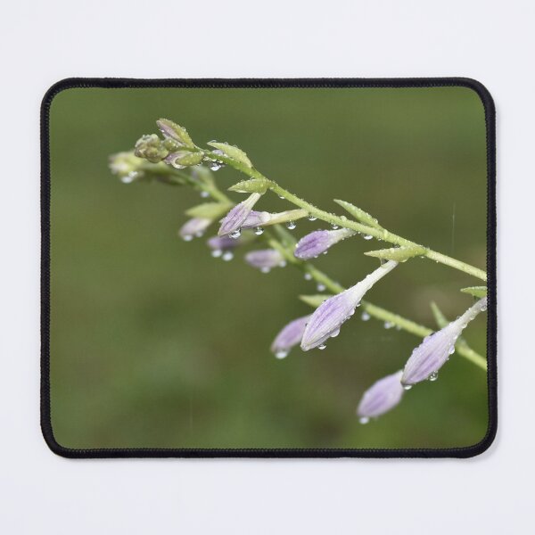 Item preview, Raindrops on Purple Hosta Flowers Macro Botanical designed and sold by TathataPhotos.