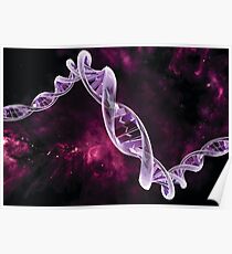 Genom: Doppelhelix Poster