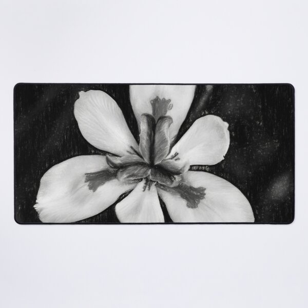 Item preview, African Iris In Black and White designed and sold by Kay Brewer.