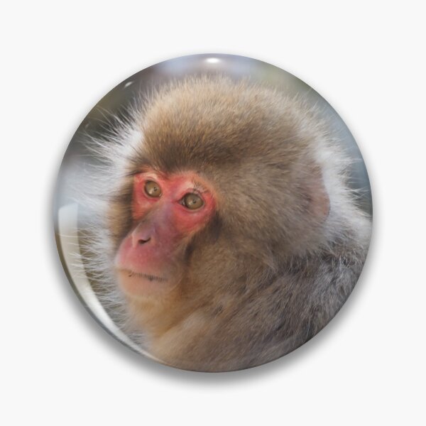 Item preview, Japanese Macaque Snow Monkey Portrait  designed and sold by happynaturalist.