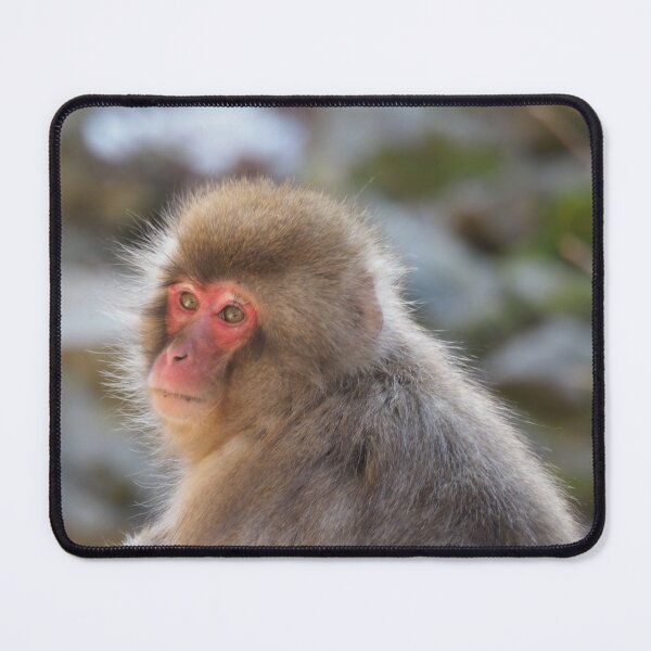 Item preview, Japanese Macaque Snow Monkey Portrait  designed and sold by happynaturalist.