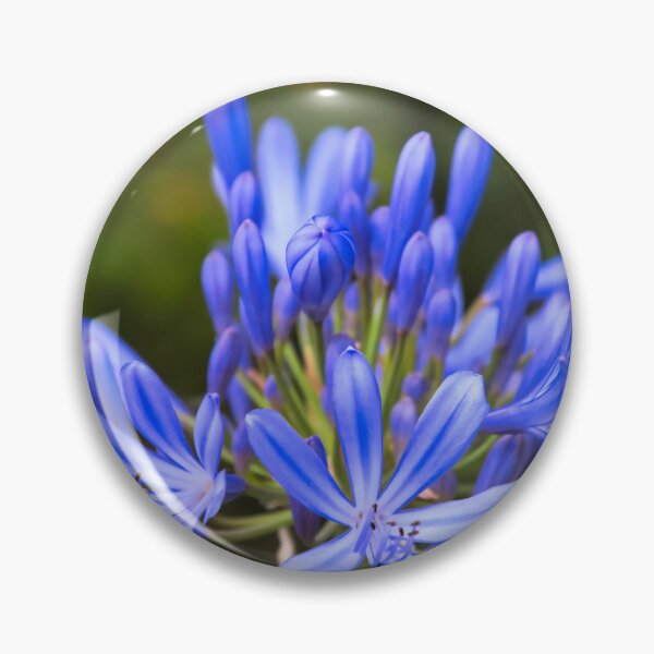 Item preview, Agapanthus Flower designed and sold by JEZ22.