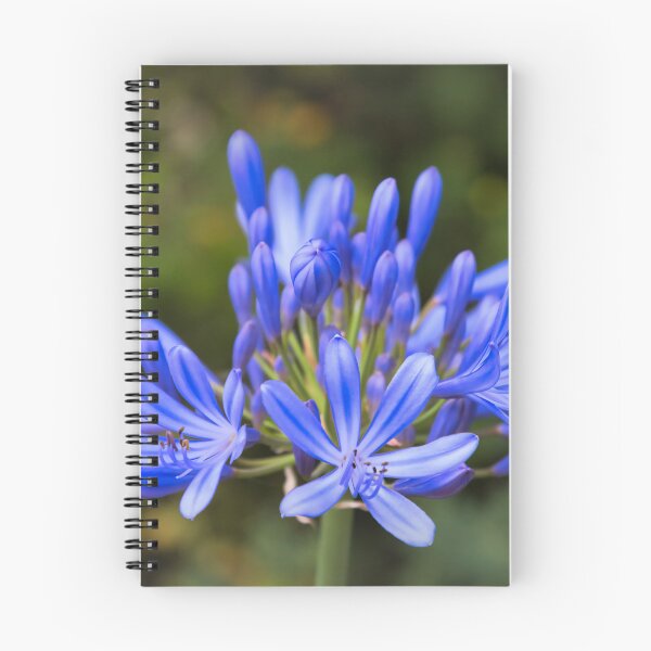 Item preview, Agapanthus Flower designed and sold by JEZ22.
