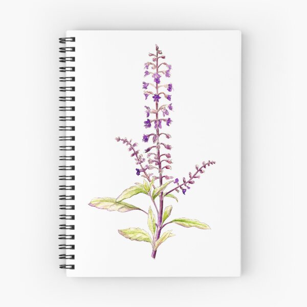 Item preview, Sacred Holy Basil (Tulsi) watercolor hand painted botanical art designed and sold by Sarah Trett.