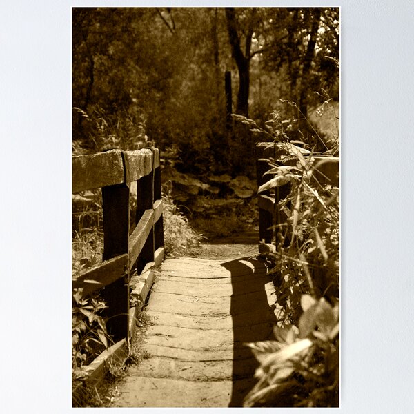 Bridge to Nowhere Poster