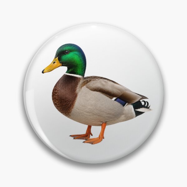 Item preview, Realistic Mallard Duck Illustration | Wild Duck Bird Art | Detailed Waterfowl Design | Nature Lover Gift | Mallard Wildlife Artwork designed and sold by holistech.