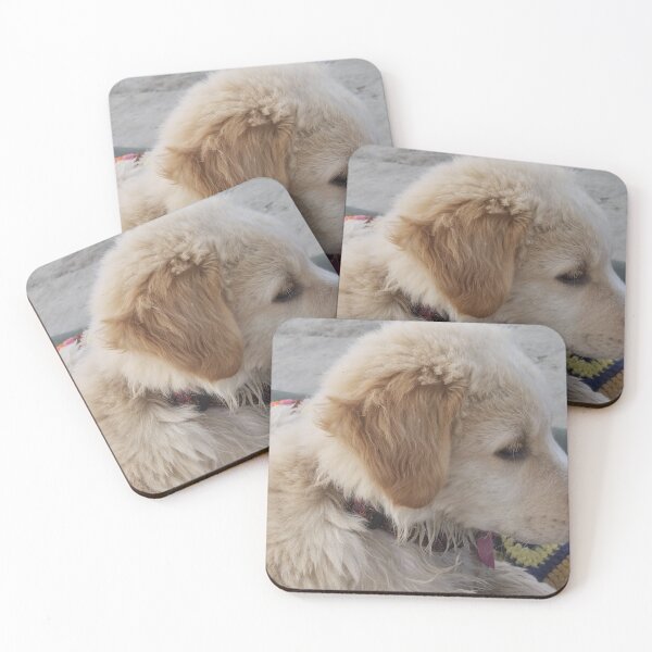 Item preview, Our Little Aries designed and sold by Moments-N-Time.