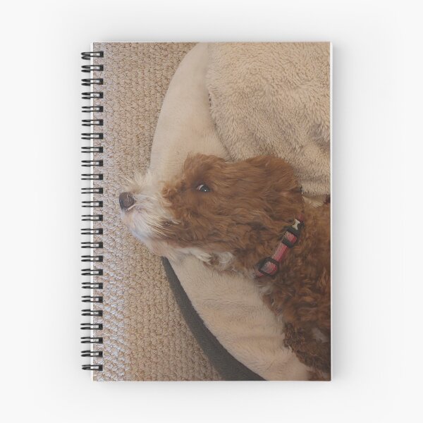 Item preview, Puppy Bean watching you designed and sold by LifeLookingCloser.