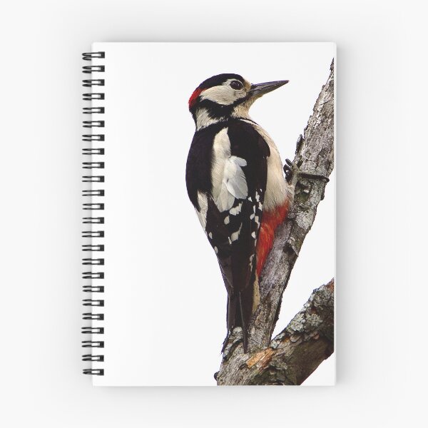 Item preview, Great spotted woodpecker  designed and sold by Kerrie-Ann Ellison.