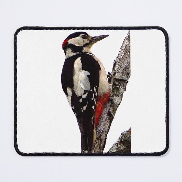Item preview, Great spotted woodpecker designed and sold by Kerrie-Ann Ellison.