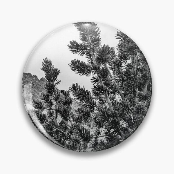 Item preview, Whitebark cones Enchantments 2025 designed and sold by whitebarkfound.
