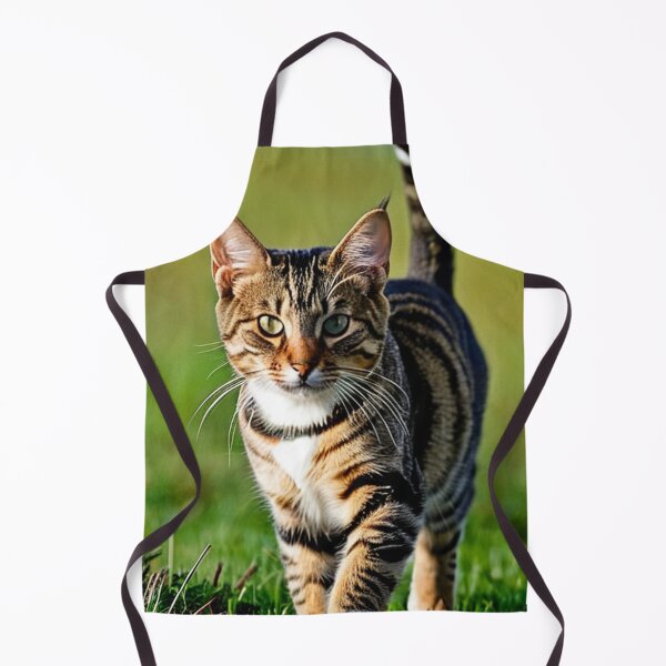 Item preview, Animals - Tabby Cat with a Captivating Gaze, Outdoor Portrait designed and sold by World-Pets.