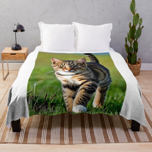 Item preview, Animals - Tabby Cat with a Captivating Gaze, Outdoor Portrait designed and sold by World-Pets.