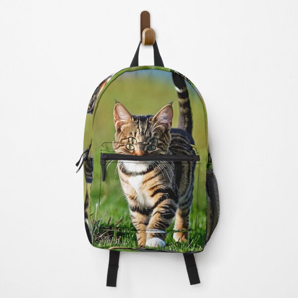 Item preview, Animals - Tabby Cat with a Captivating Gaze, Outdoor Portrait designed and sold by World-Pets.