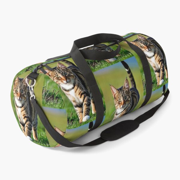 Item preview, Animals - Tabby Cat with a Captivating Gaze, Outdoor Portrait designed and sold by World-Pets.