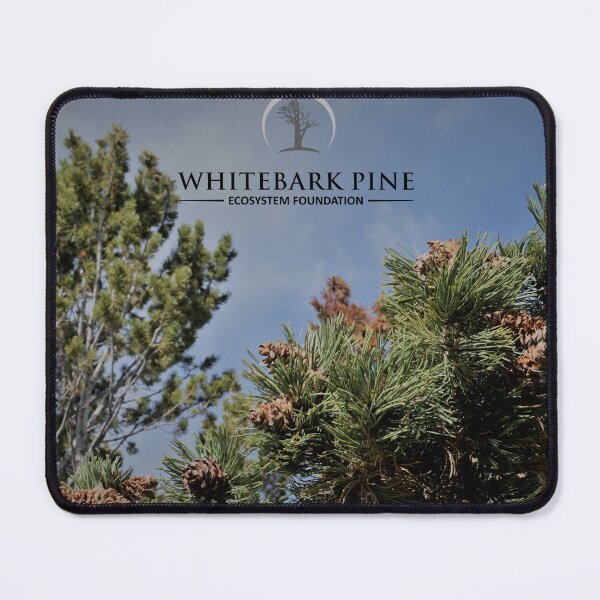 Item preview, WBP Cone & Tree Top Photo with WPEF Logo designed and sold by whitebarkfound.