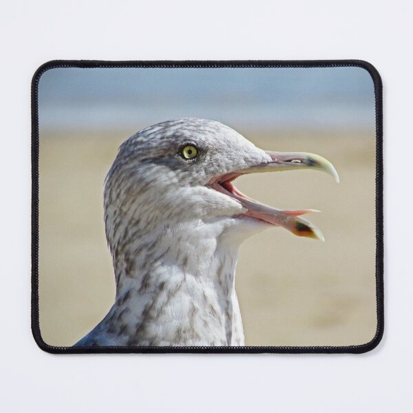 Item preview, Screaming Seagull designed and sold by HollowTree11.