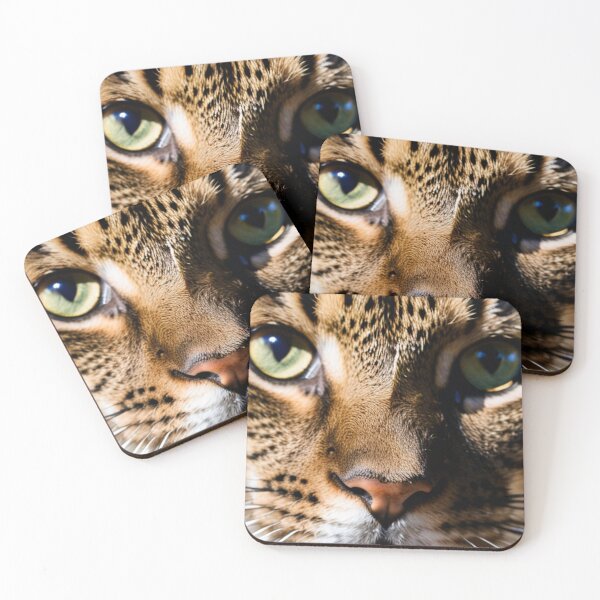 Item preview, Animals - Tabby Cat, Hypnotic and Intense Gaze designed and sold by World-Pets.