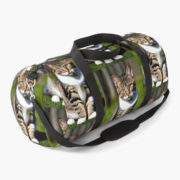 Item preview, Animals - Tabby Cat, Intense Gaze Portrait designed and sold by World-Pets.