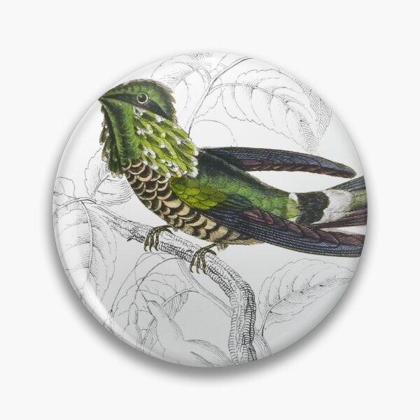 Item preview, Audenet’s Humming-Bird — Plate XVII designed and sold by the-forum.