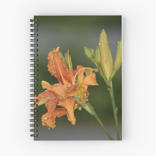 Item preview, Orange Daylily Macro Photography | Summer Garden Wall Art Print designed and sold by TathataPhotos.