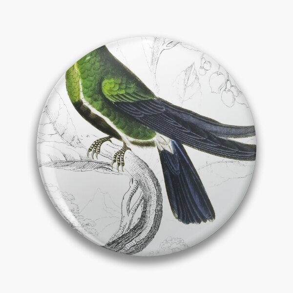 Item preview, Avoset-Billed Humming-Bird — Plate II designed and sold by the-forum.