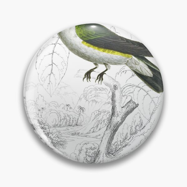 Item preview, Azur-Crowned Humming-Bird — Plate IX designed and sold by the-forum.