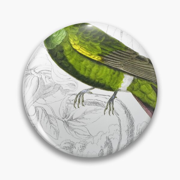 Item preview, Black-Breasted Humming-Bird — Plate XXXII designed and sold by the-forum.