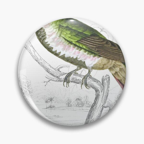Item preview, Black-Breasted Humming-Bird — Plate XXXIII designed and sold by the-forum.