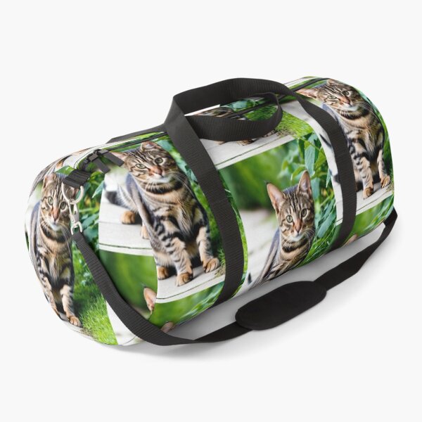 Item preview, Animals - Tabby Cat, Natural Portrait with an Intense Gaze designed and sold by World-Pets.