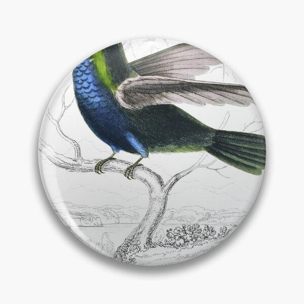 Item preview, Blue-Green Humming-Bird — Plate VII designed and sold by the-forum.