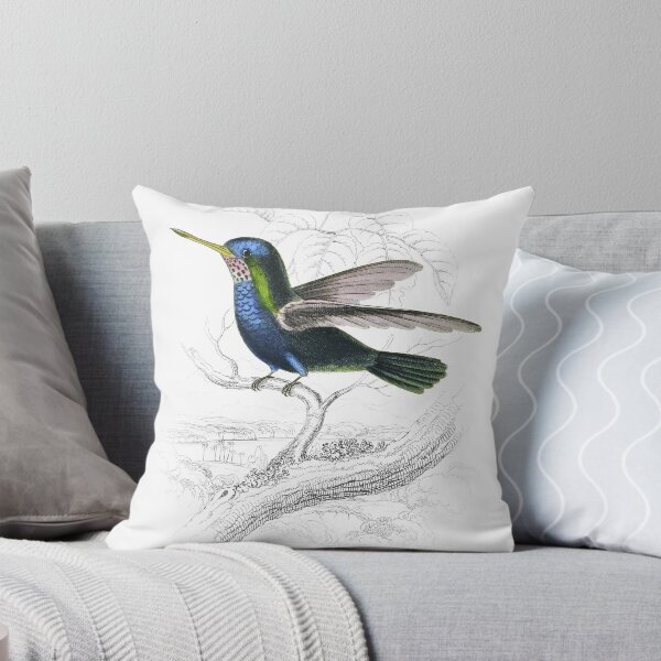 Item preview, Blue-Green Humming-Bird — Plate VII designed and sold by the-forum.