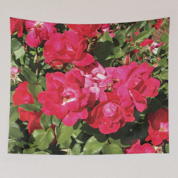 Item preview, Radiant Pink Flowers Photo designed and sold by Here's To Endless Possibilities.