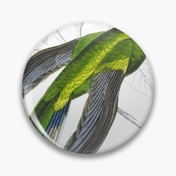 Item preview, Blue-Throated Sabre-Wing — Plate XXXIV designed and sold by the-forum.