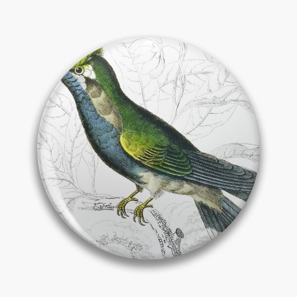 Item preview, Delalande’s Humming-Bird — Plate X designed and sold by the-forum.
