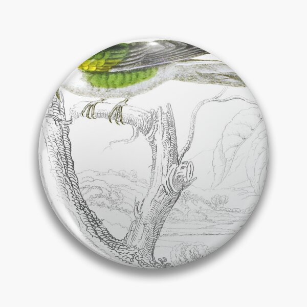 Item preview, Double-Crested Humming-Bird — Plate XXI designed and sold by the-forum.