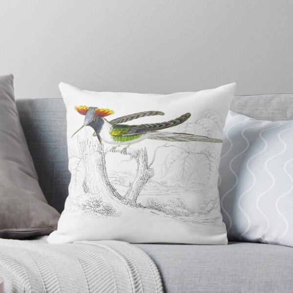 Item preview, Double-Crested Humming-Bird — Plate XXI designed and sold by the-forum.