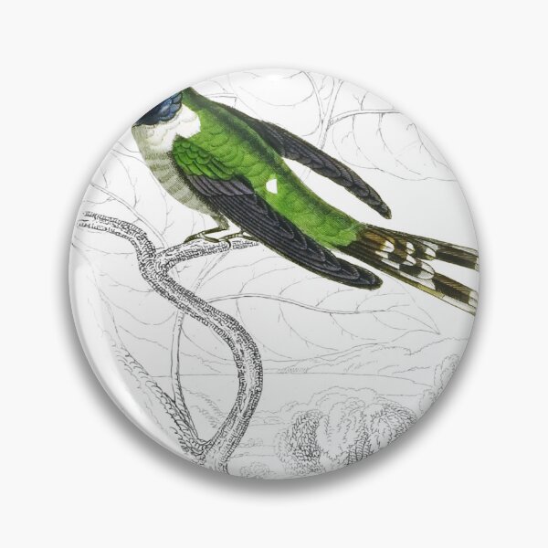 Item preview, Dupont’s Humming-Bird — Plate XXVI designed and sold by the-forum.