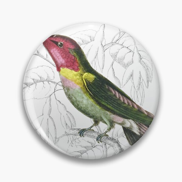 Item preview, Dutchess of Rivoli’s Humming-Bird — Plate VI designed and sold by the-forum.