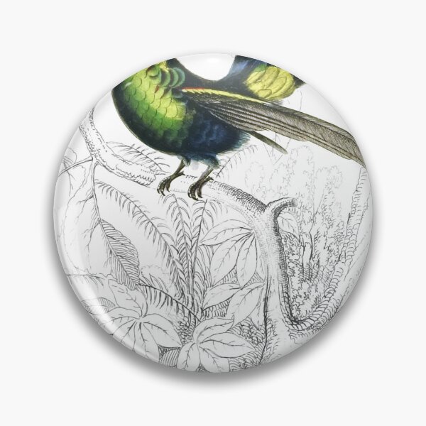 Item preview, Golden-Green Humming-Bird — Plate VIII designed and sold by the-forum.
