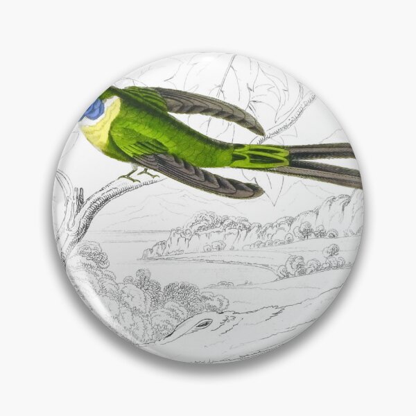 Item preview, Half-Tailed Humming-Bird — Plate XXVII designed and sold by the-forum.
