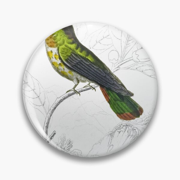 Item preview, Magnificent Humming-Bird — Plate XX designed and sold by the-forum.