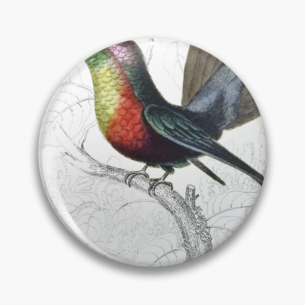 Item preview, Ruby-Crested Humming-Bird — Plate XI designed and sold by the-forum.