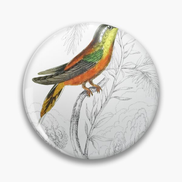 Item preview, Rufous-Bellied Humming-Bird — Plate IV designed and sold by the-forum.