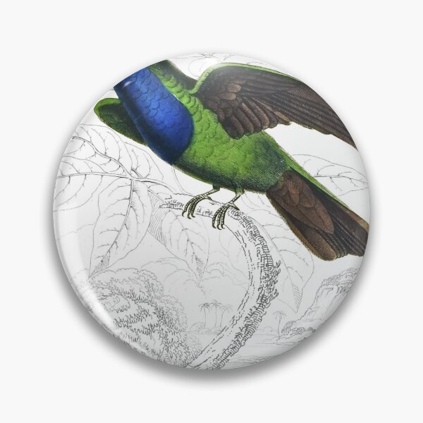 Item preview, Sapphire-Throated Humming-Bird — Plate XXVIII designed and sold by the-forum.