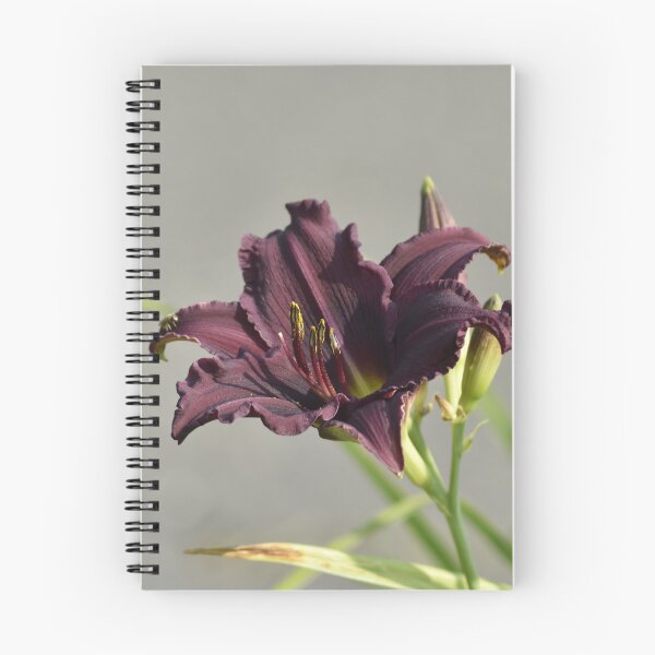 Item preview, Deep Purple Daylily Photography | Moody Botanical Wall Art Print designed and sold by TathataPhotos.
