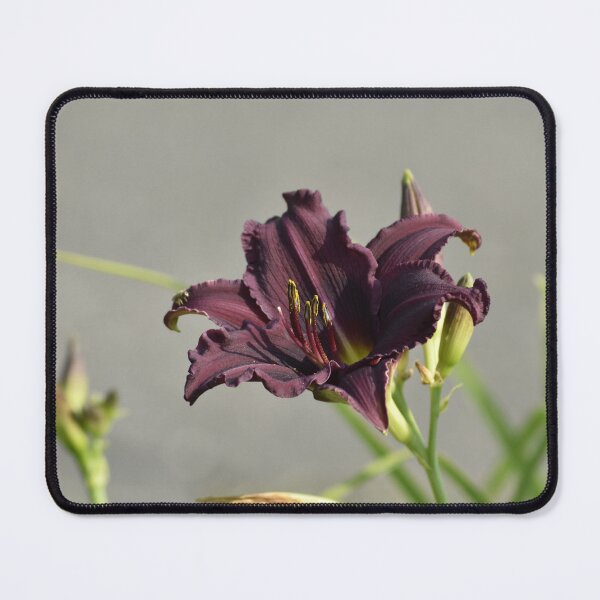 Item preview, Deep Purple Daylily Photography | Moody Botanical Wall Art Print designed and sold by TathataPhotos.