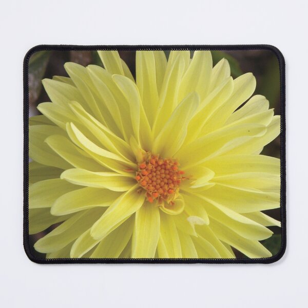 Artikelvorschau, Happy Yellow Flower V2 Photo entworfen und verkauft von Here's To Endless Possibilities.