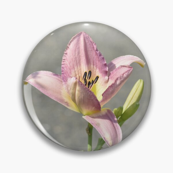 Item preview, Soft Purple Lily Photography | Dreamy Botanical Flower Print designed and sold by TathataPhotos.